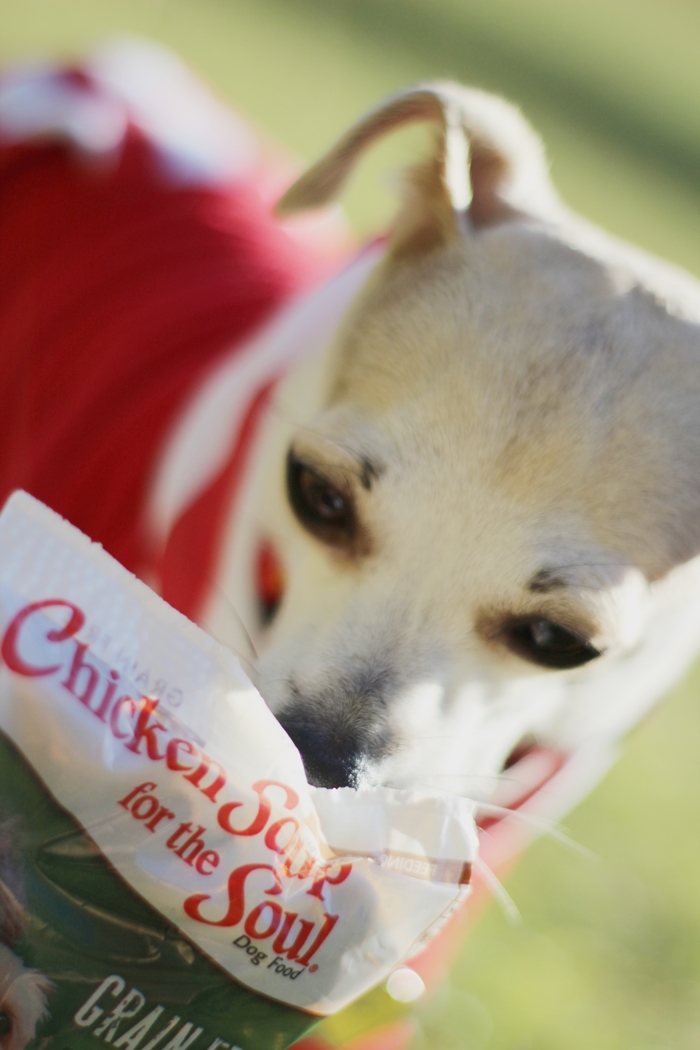 Chicken Soup for the Soul Dog Food Review #MyPetisMyHero