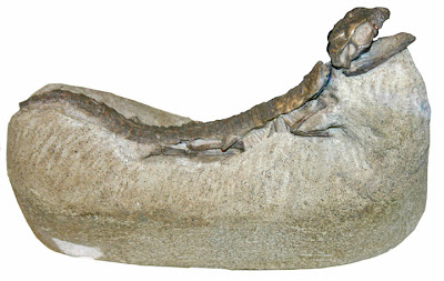 Hoplosuchus