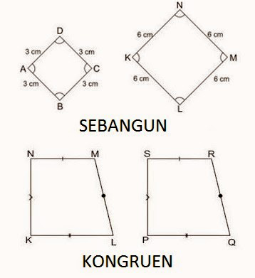 Materi Kesebangunan Berdiri Datar Pengertian Rumus Dan Contoh Cara Ampuh Memahami Matematika Dengan Mudah Materi Kesebangunan Berdiri Datar Pengertian Rumus Dan Contoh Cara Ampuh Memahami Matematika Dengan Mudah