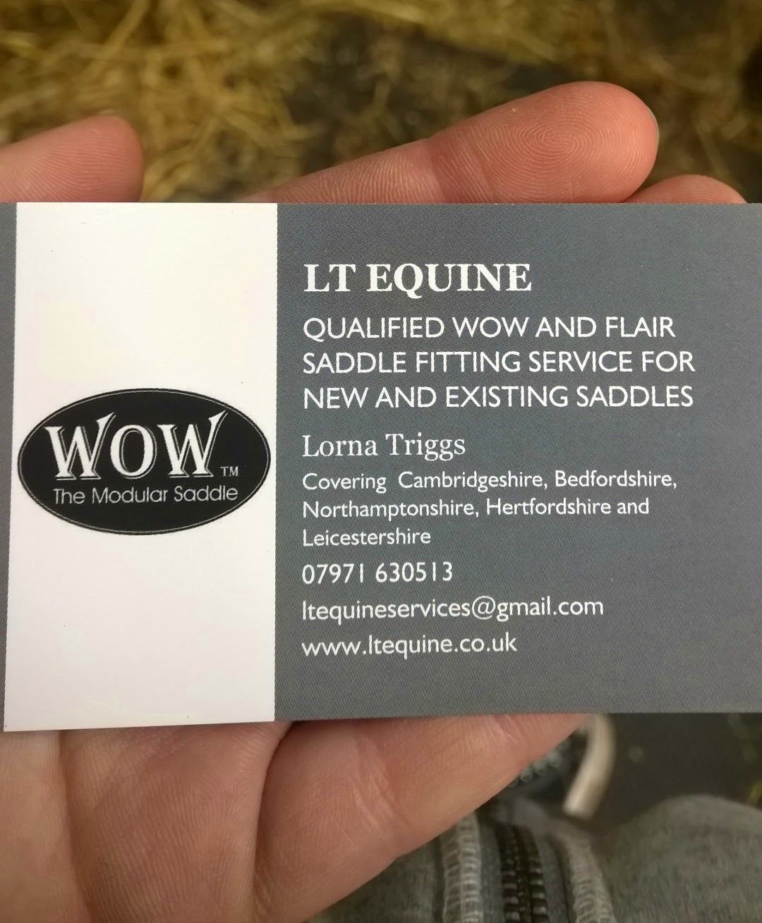 Roosa's Horsey Life WOW saddle, part 1