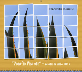 Desafio mês julho, vencedora LUISA VILAÇA