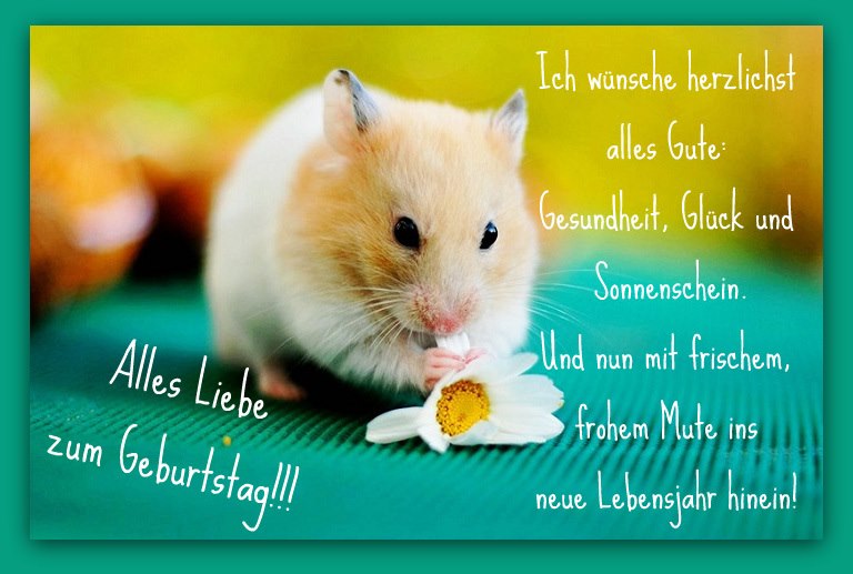 glückwünsche zum geburtstag für zwillinge