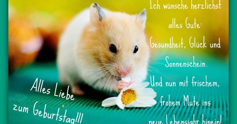 Mann Lustig Angela J Phillips Blog Geburtstag Mann Lustig