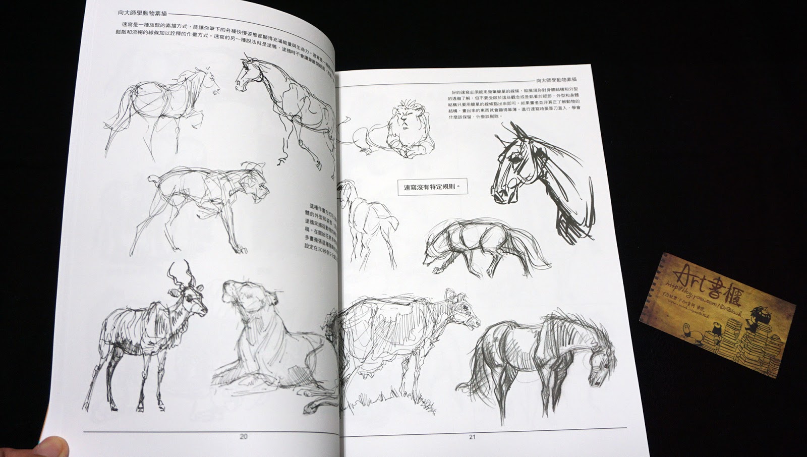ART書櫃 Book Review 向大師學動物素描 \ The Weatherly Guide to Drawing Animals (喬