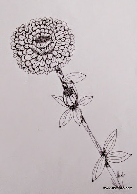 Marigold: Pen and Ink: Drawing: 15cmx30cm: Miabo Enyadike