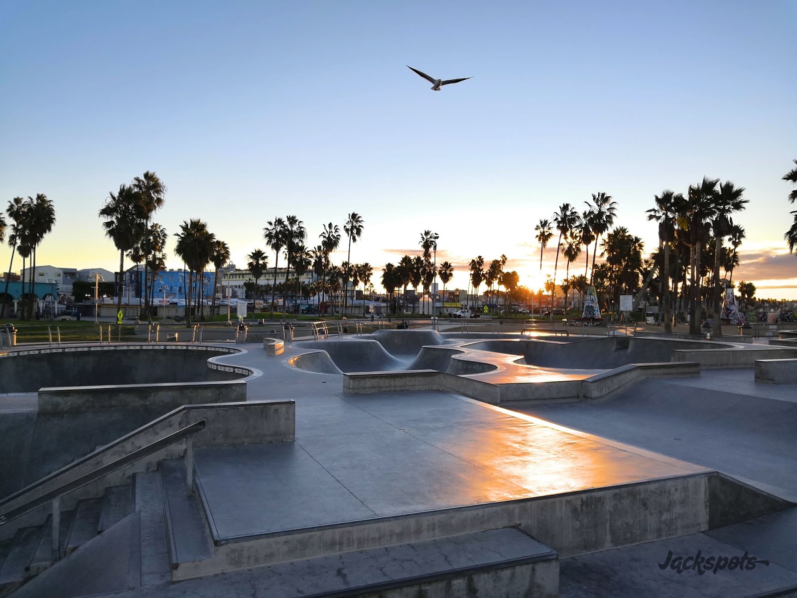 L'incroyable skatepark de Venice Beach Jackspots