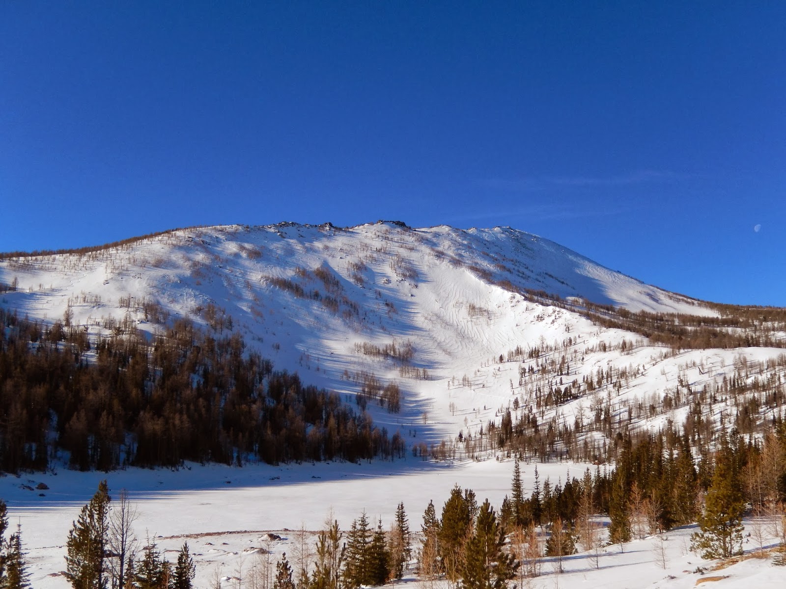 Head for the Hills.... Lolo Peak Proper Tour