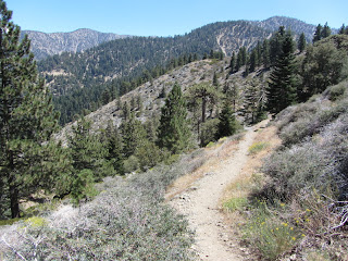 View southeast from PCT toward Mt. Islip