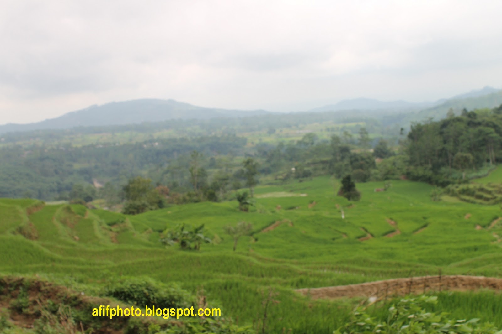 BuKu KecilKu: Suasana Pegunungan di Kabupaten Tegal
