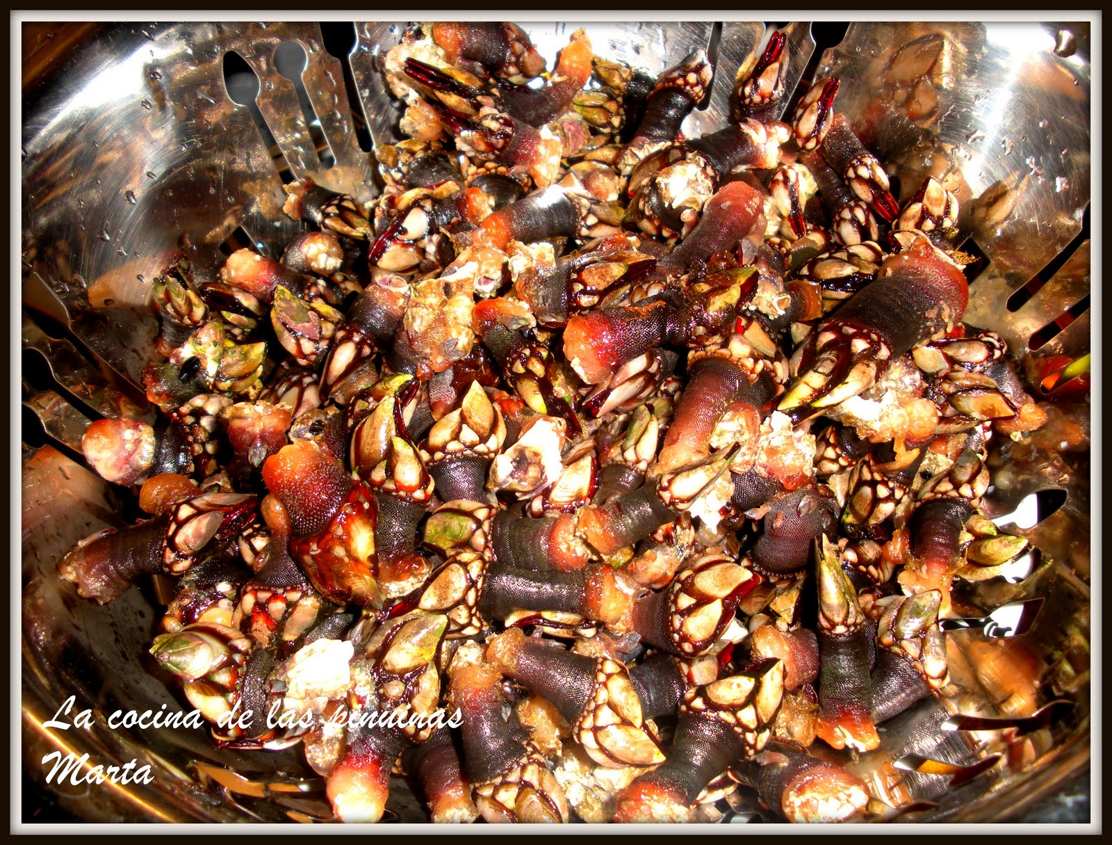 LA COCINA DE LAS PINUINAS Percebes de Galicia