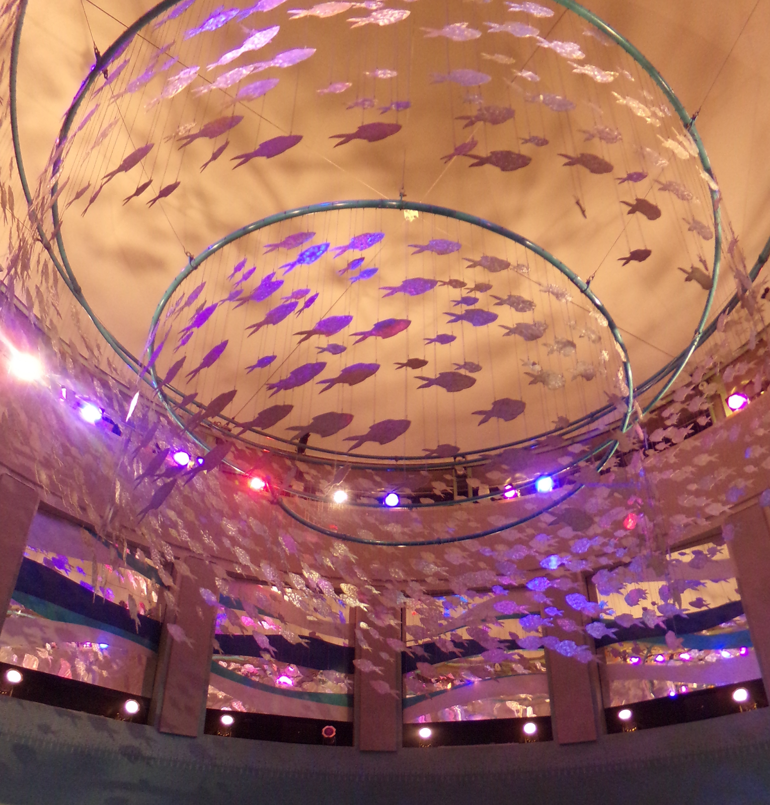 Randuwa II Adventure Aquarium in Camden, New Jersey 5 out of 6