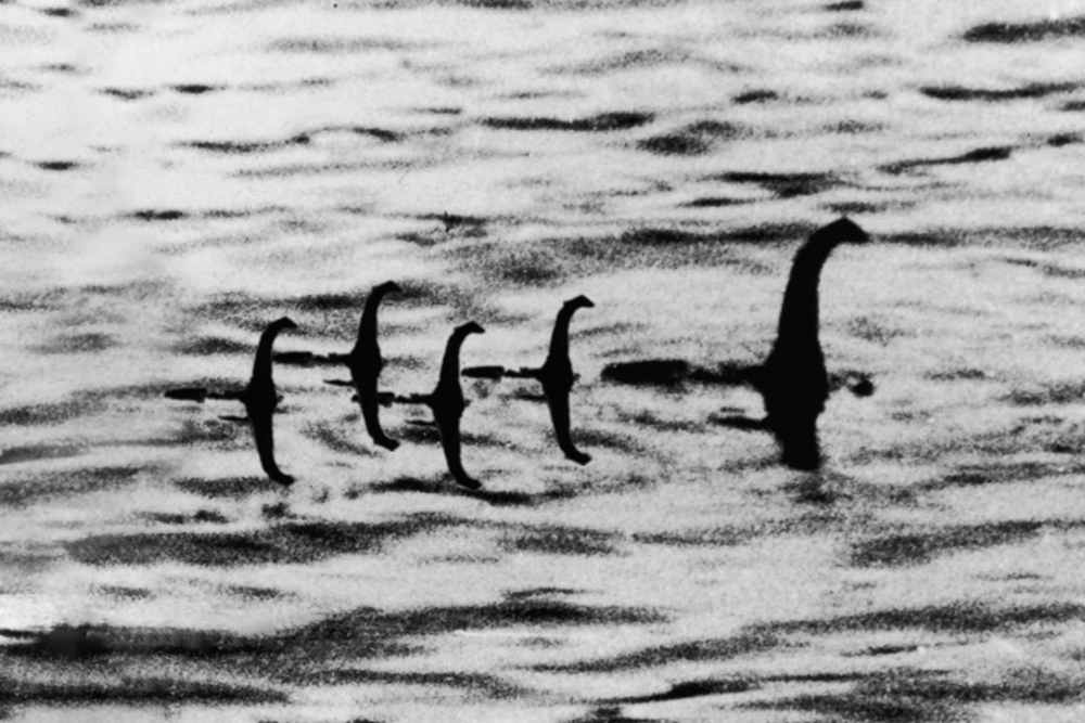 the postillon loch ness monster hatches young