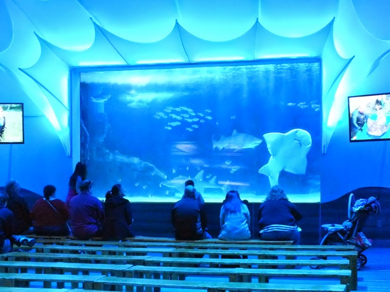 The Zoo Review Zoo Review Newport Aquarium