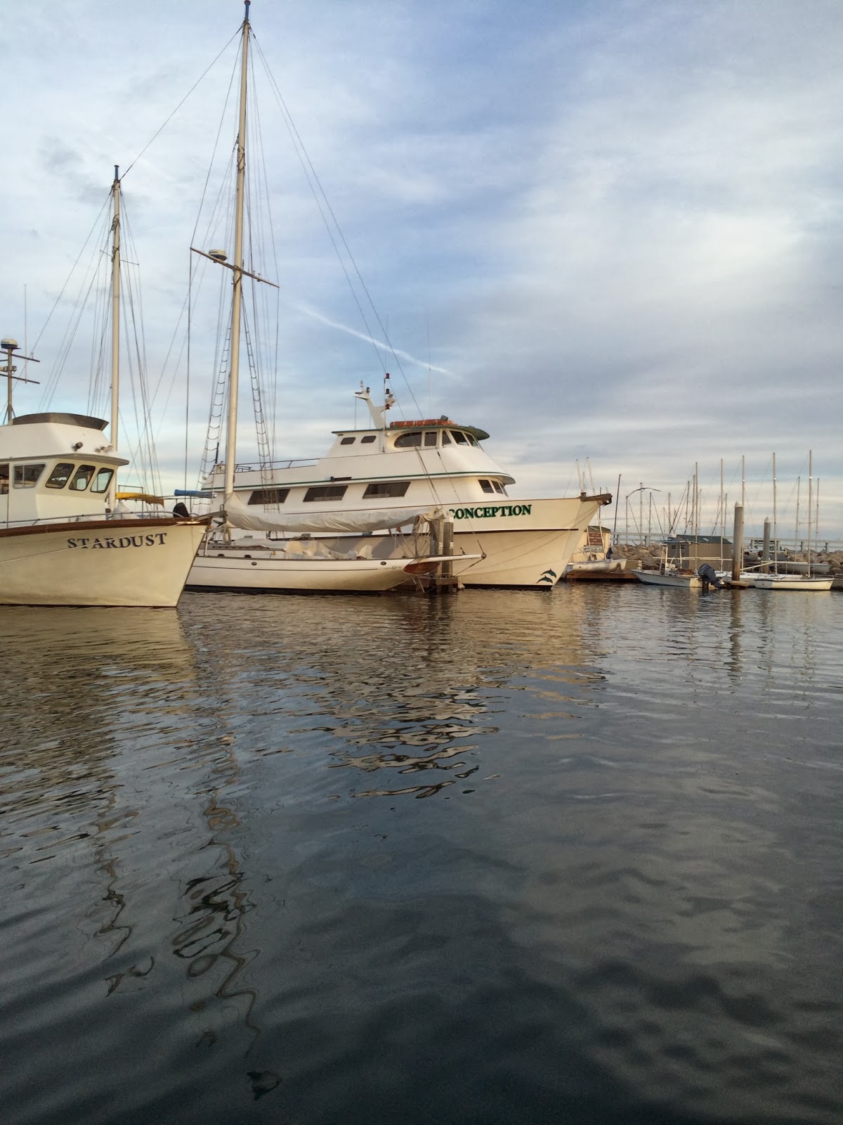 Santa Barbara Sights and Events Take a Wild Ride for Holidays on The