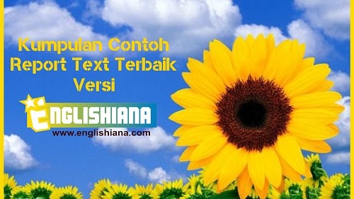 Contoh Report Text Tumbuhan Dan Hewan Pendek Dalam Bahasa Inggris Dan Artinya Englishiana