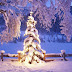 Kerstboom bedekt met laag sneeuw