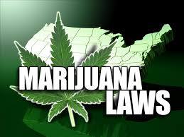 Marijuana law firm