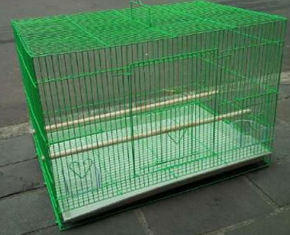 Harga Kandang Lovebird Kotak Lovebirds Lover