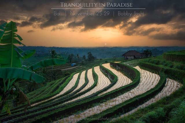 Jatiluwih Rice Terraces,bali destinations guide map for couples families to visit,bali honeymoon destinations,bali tourist destinations,bali indonesia destinations,bali honeymoon packages 2016 resorts destination images review,bali honeymoon packages all inclusive from india,bali travel destinations,bali tourist destination information map,bali tourist attractions top 10 map kuta seminyak pictures,bali attractions map top 10 blog kuta for families prices ubud,bali ubud places to stay visit see