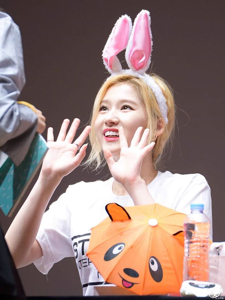TWICE Sana Transforms Into An Adorable Bunny! | Daily K Pop News