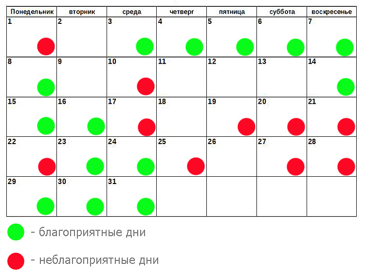 Стрижки по лунному календарю август Стрижки по лунному календарю август
