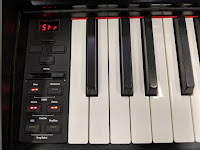 pictures of GEWA DP200 digital piano