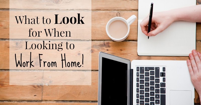 WindairUudised Windair