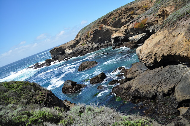 trek point lobos california travel blog