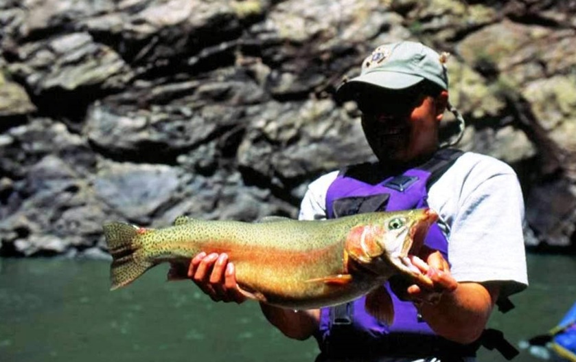 4 Best Fishing Destinations in Ouray, Colorado Wazzup Pilipinas News