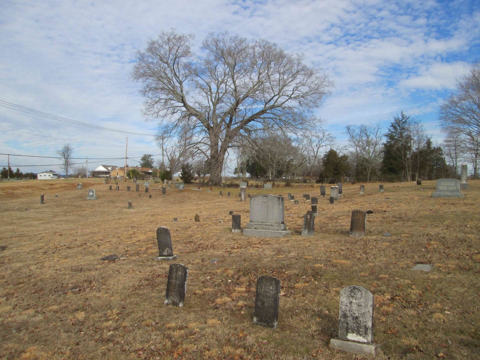 Cemetery Creeping Little Flat Creek