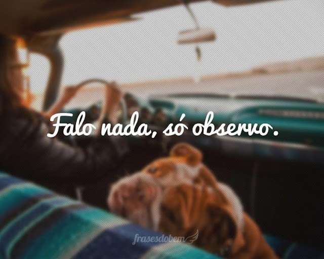 Falo nada, só observo. Olha Que Frase