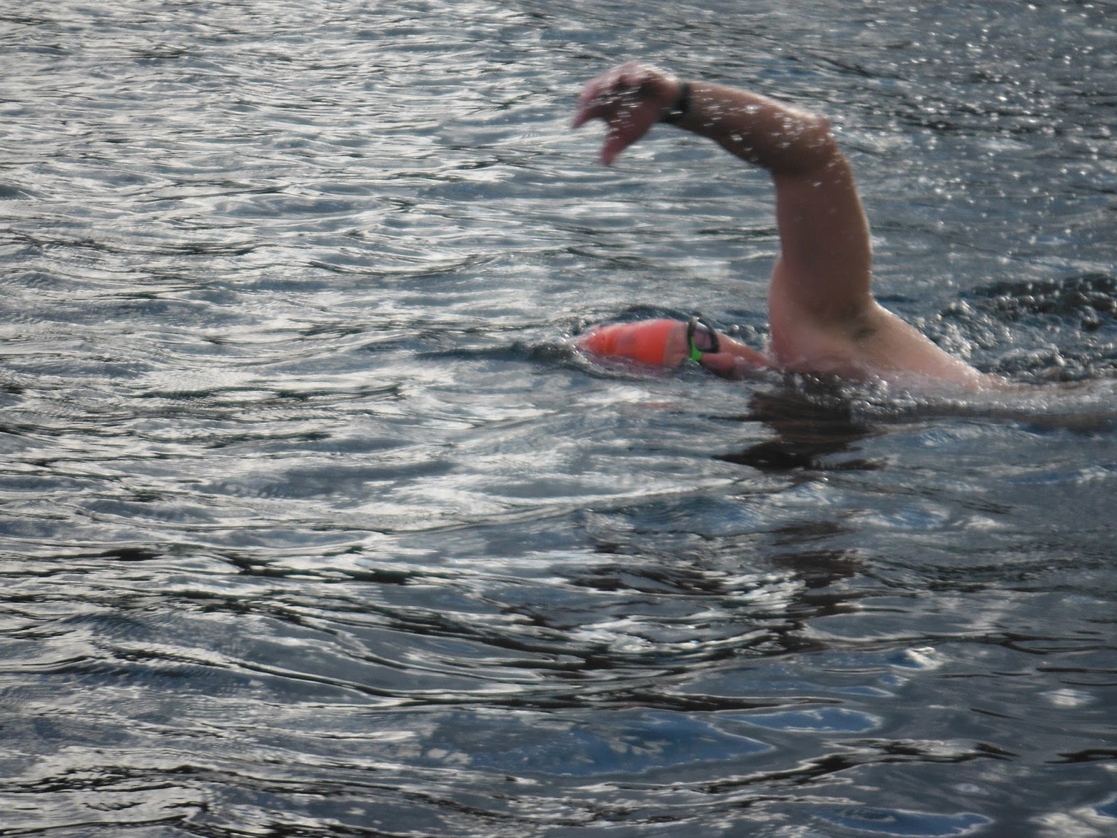 Reminiscences of a Long Distance Swimmer 21 Mile 2Way Windermere Swim
