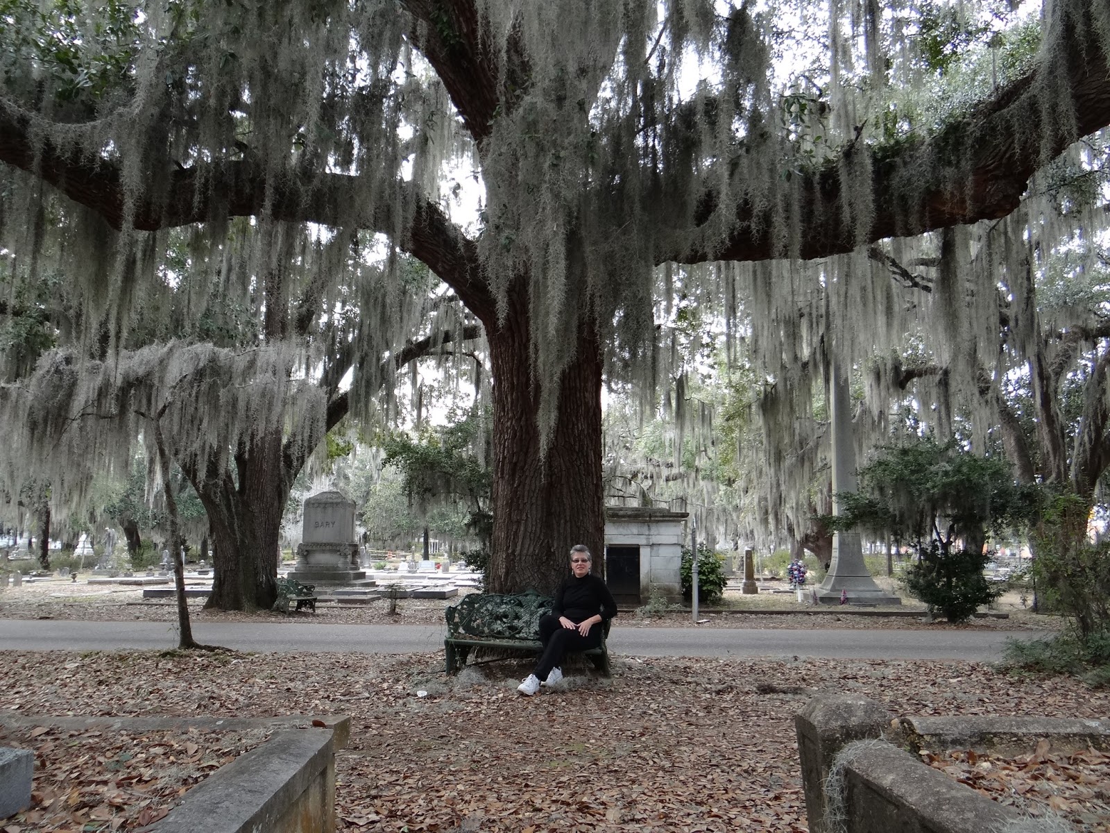 Walkabout With Wheels Blog Old Live Oak Cemetery in Selma, Alabama