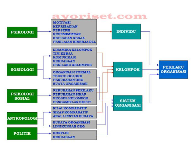 DISIPLIN ILMU PERILAKU ORGANISASI