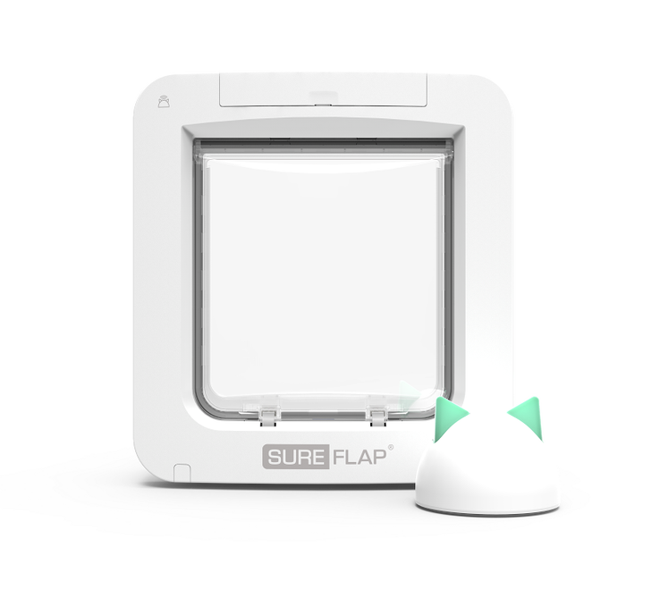 World's first appcontrolled Pet Door Australian Dog Lover