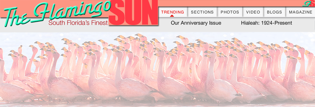 The Flamingo Sun