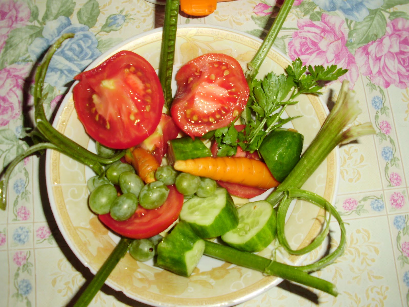 My dental Travel Experience in Romania Life (and eating) after Bone