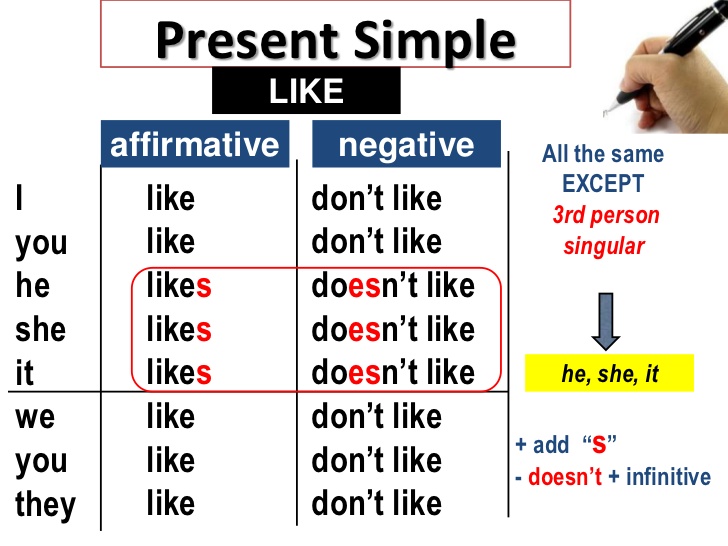 Simple second. Do does present simple правило. Спряжение глагола like в английском языке. Present simple like в английском языке. Глагол like в present simple.