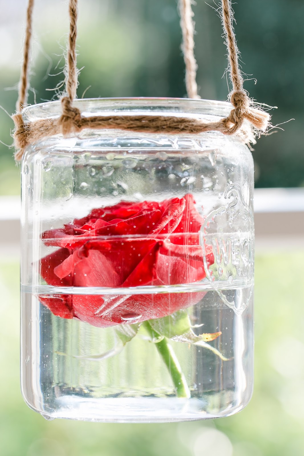 Der Postillon November 2016