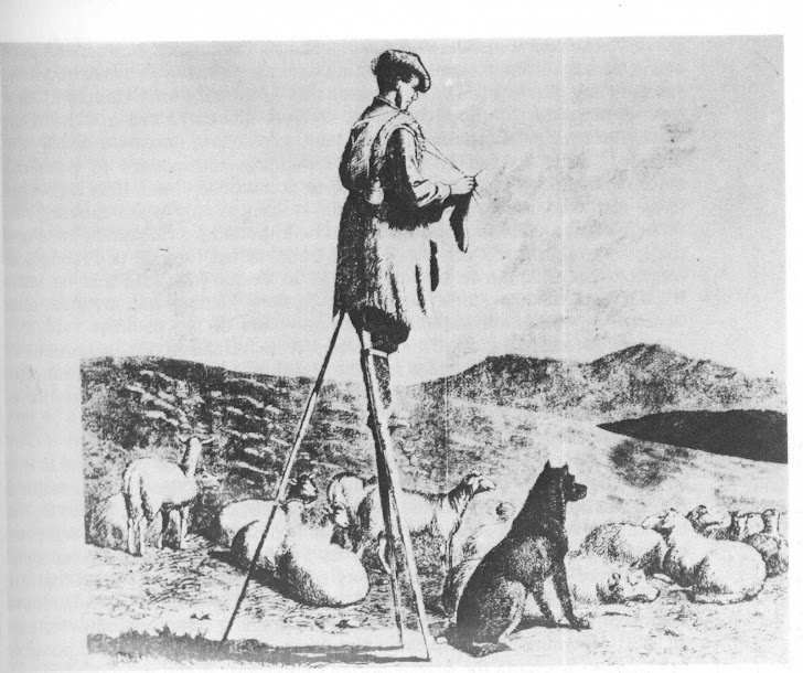 French shepherd knitting on stilts