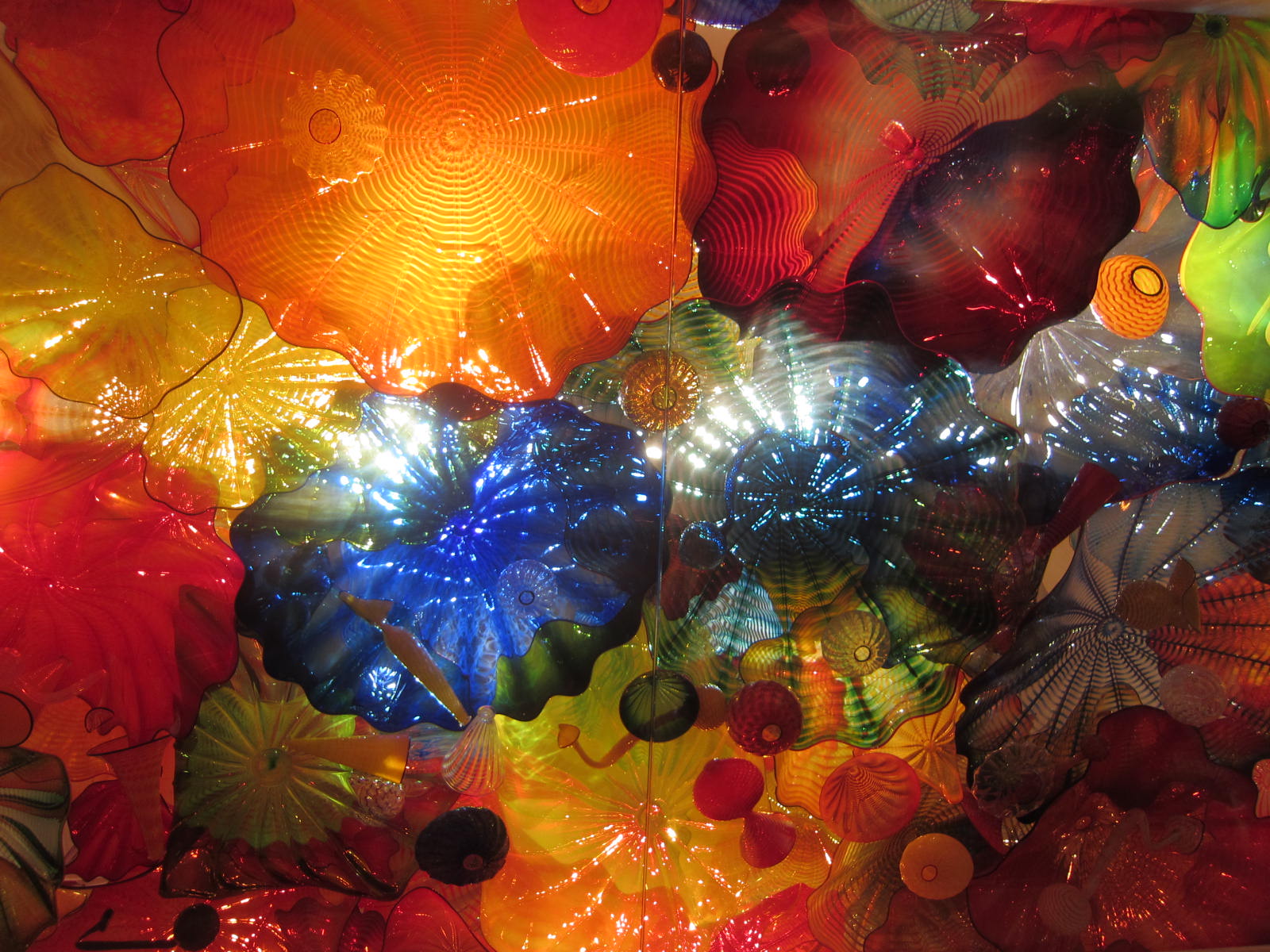 Rook S Nest Some More Chihuly