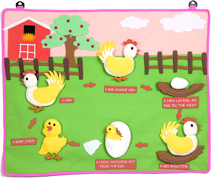 Kids Theme Project LIFE CYCLE OF A HEN Kids Theme Project LIFE CYCLE OF A HEN