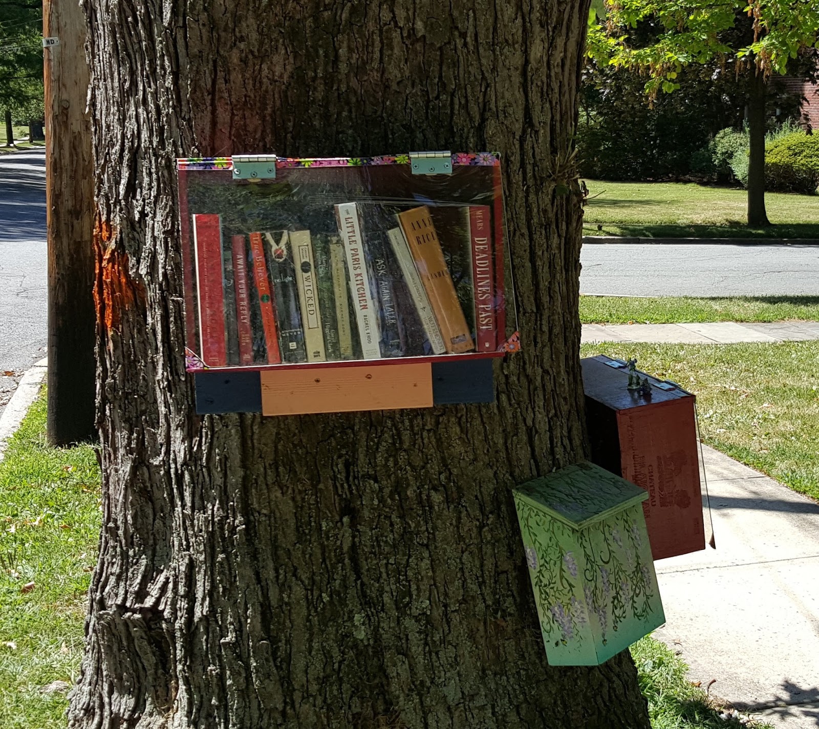 Maplewoodian.com: DO YOU KNOW THE LIBRARY IN A TREE?