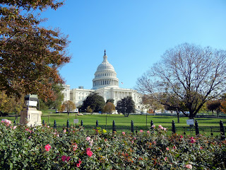 The US Capitol Building in Washington DC