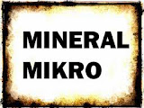 Mineral Mikro - Ilmu Gizi