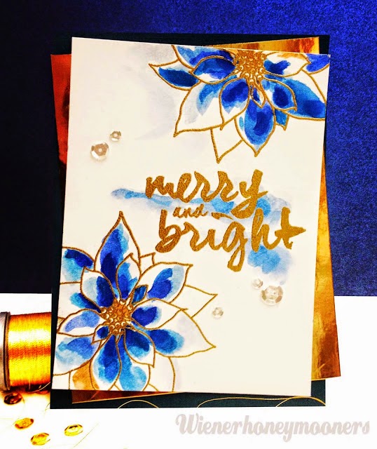 Botanical Cafe Joyous blue!