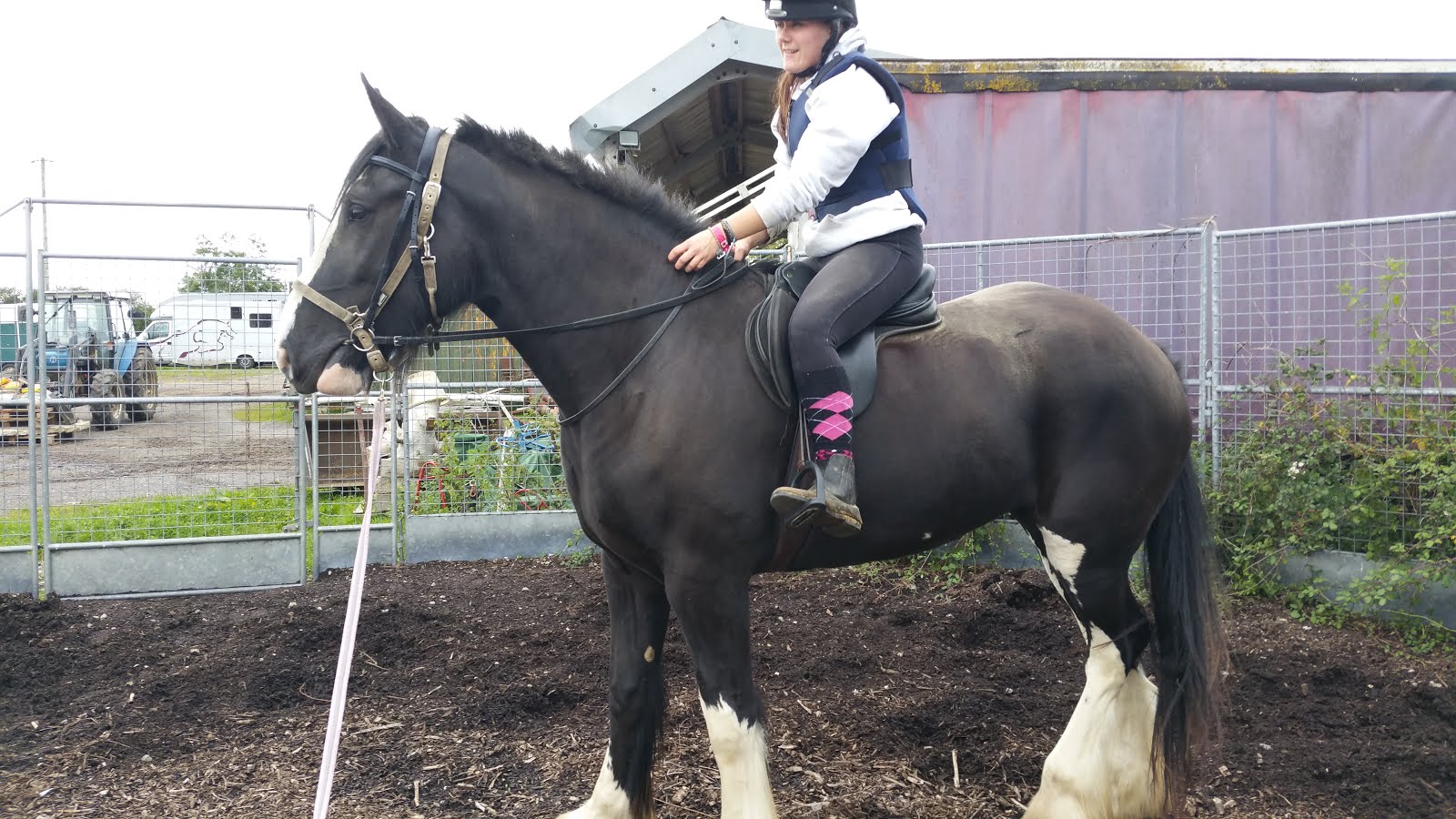 Backing, Producing and Retraining