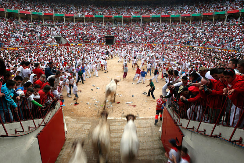 running of the bulls