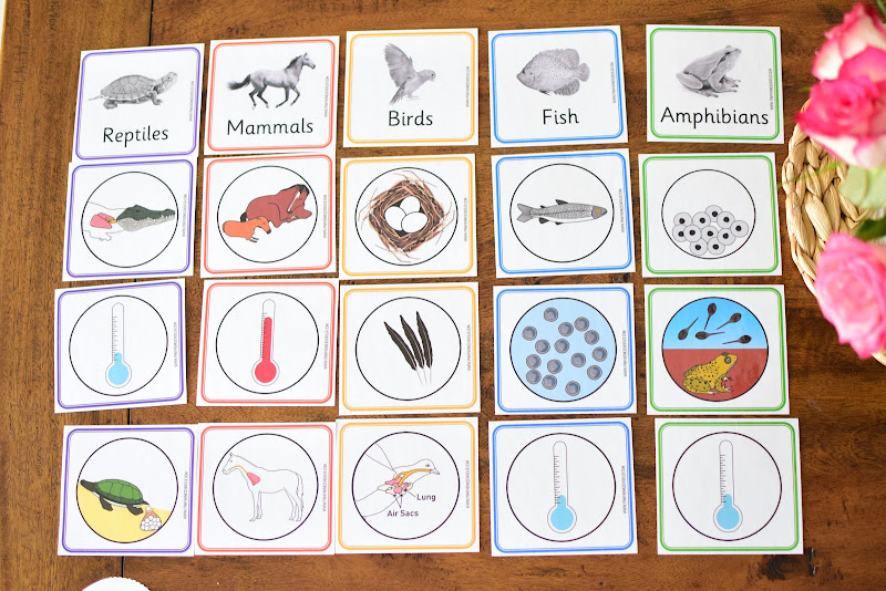 Animal Characteristics Sorting Cards