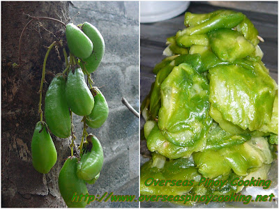 Kamias Jam, Ginger Lily Jam - Squeezing Procedure Kamias Jam, Ginger Lily Jam - Squeezing Procedure